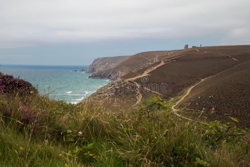 Mooi landschap Van Cornwall met purpere heidevoorgrond stock foto