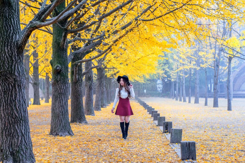 Mooi Meisje met Gele Bladeren in Nami Island, Korea stock afbeeldingen Mooi Meisje met Gele Bladeren in Nami Island, Korea stock afbeeldingen