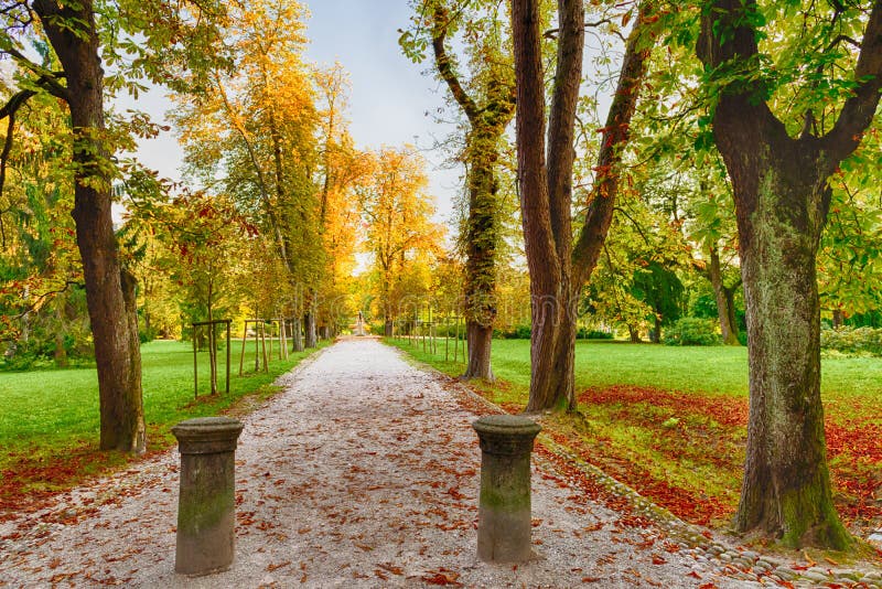 Mooi park in de herfst stock foto's Mooi park in de herfst stock foto's