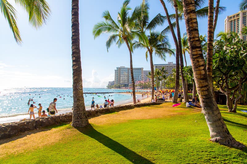 Mooi park dichtbij Waikiki-strand