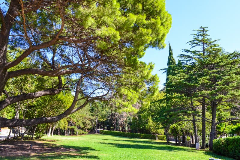 Mooi park met een groen gazon op een zonnige dag stock afbeelding Mooi park met een groen gazon op een zonnige dag stock afbeelding