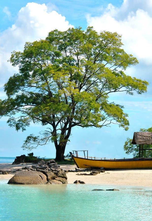 Prachtig strand met een grote boom en een boot royalty-vrije stock foto's