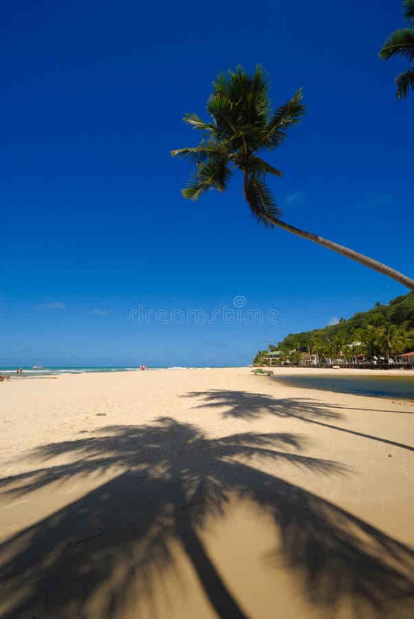 Mooi strand in Praia DA Pipa Brazilië royalty-vrije stock fotografie Mooi strand in Praia DA Pipa Brazilië royalty-vrije stock fotografie
