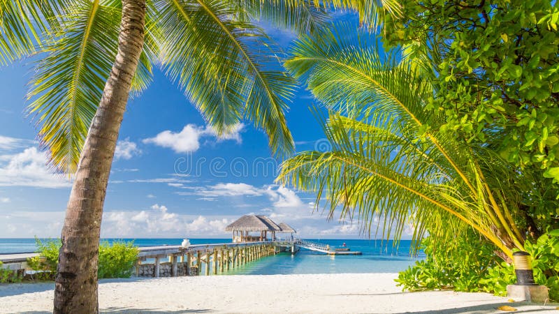 Mooi tropisch landschap Het eilandstrand en palmen van de Maldiven Perfecte tropische banner royalty-vrije stock foto Mooi tropisch landschap Het eilandstrand en palmen van de Maldiven Perfecte tropische banner royalty-vrije stock foto