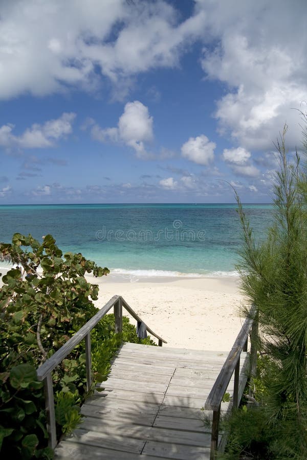 Beautiful lush entrance to a tropical beach with clear green water. Beautiful lush entrance to a tropical beach with clear green water.