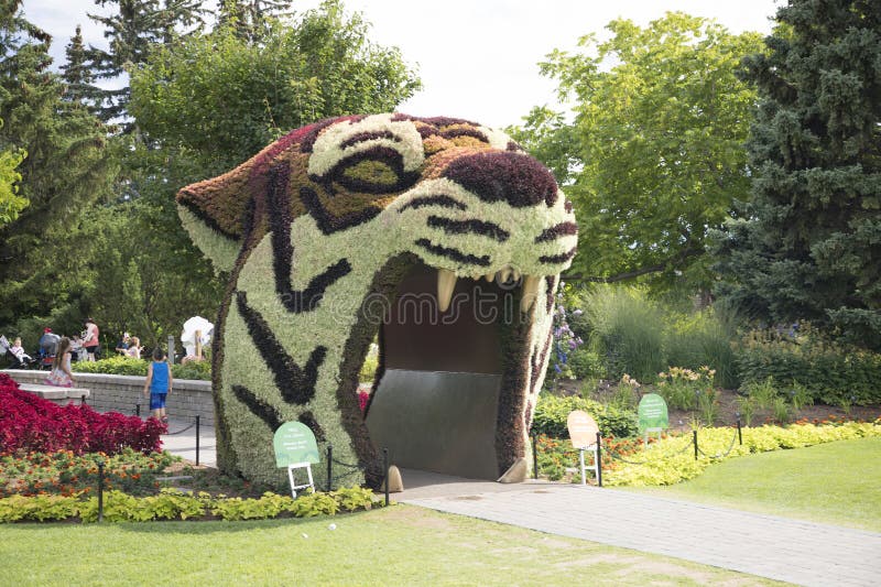 Prachtig uitzicht op de dierentuin van Calgary in Alberta royalty-vrije stock fotografie