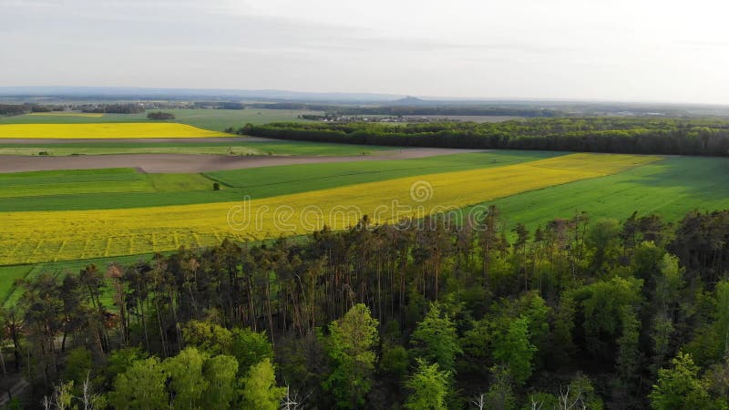 Mooi uitzicht op landschap op het platteland met beboste weiden en gele gebieden met koolzaadoppervlakte in het midden