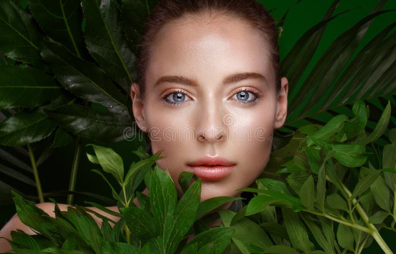 Mooi vers meisje met perfecte huid, natuurlijke samenstelling en groene bladeren Het Gezicht van de schoonheid stock foto Mooi vers meisje met perfecte huid, natuurlijke samenstelling en groene bladeren Het Gezicht van de schoonheid stock foto