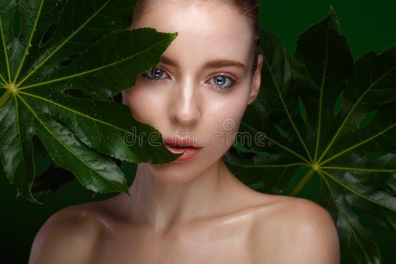 Mooi vers meisje met perfecte huid, natuurlijke samenstelling en groene bladeren Het Gezicht van de schoonheid royalty-vrije stock foto's Mooi vers meisje met perfecte huid, natuurlijke samenstelling en groene bladeren Het Gezicht van de schoonheid royalty-vrije stock foto's