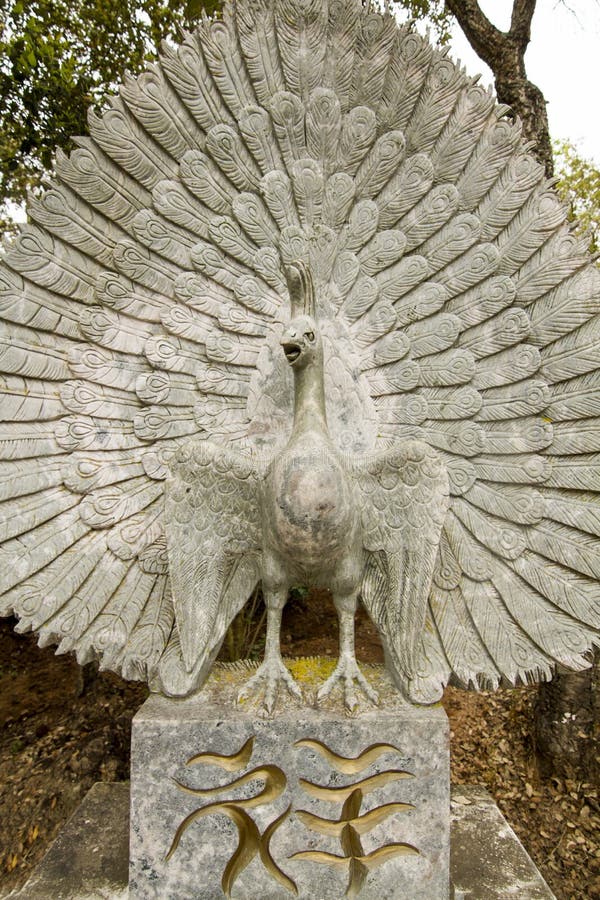 Mooi vogelbeeld stock foto's