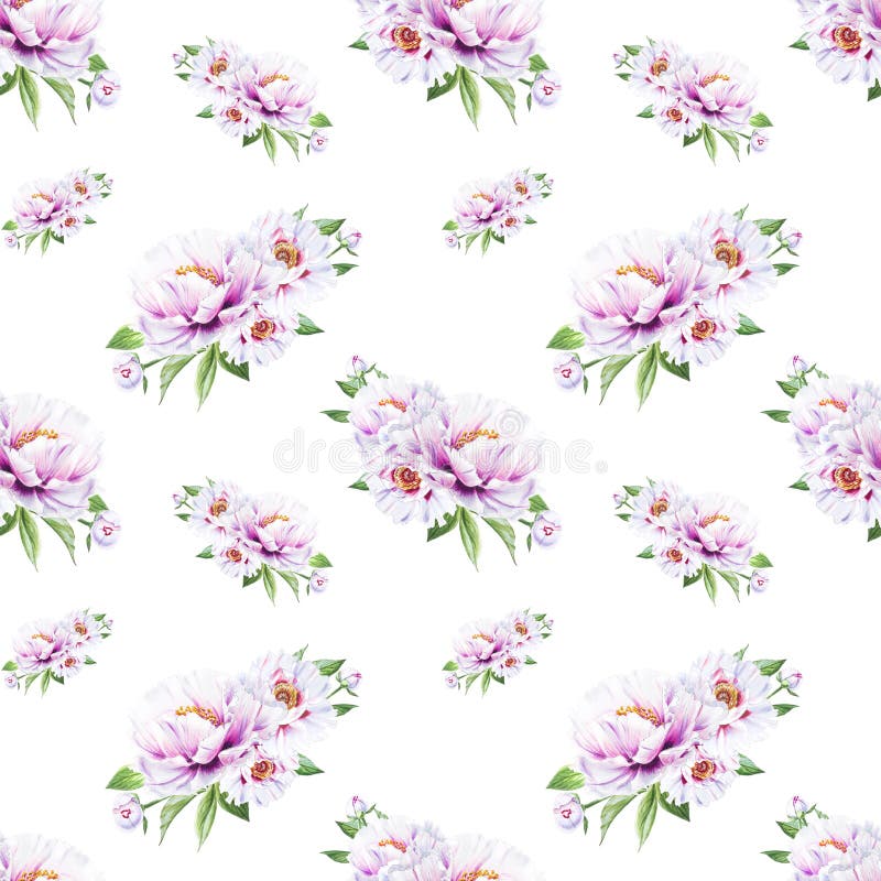 Mooi wit pioen naadloos patroon Boeket van bloemen Bloemen textuur Tellerstekening stock illustratie Mooi wit pioen naadloos patroon Boeket van bloemen Bloemen textuur Tellerstekening stock illustratie