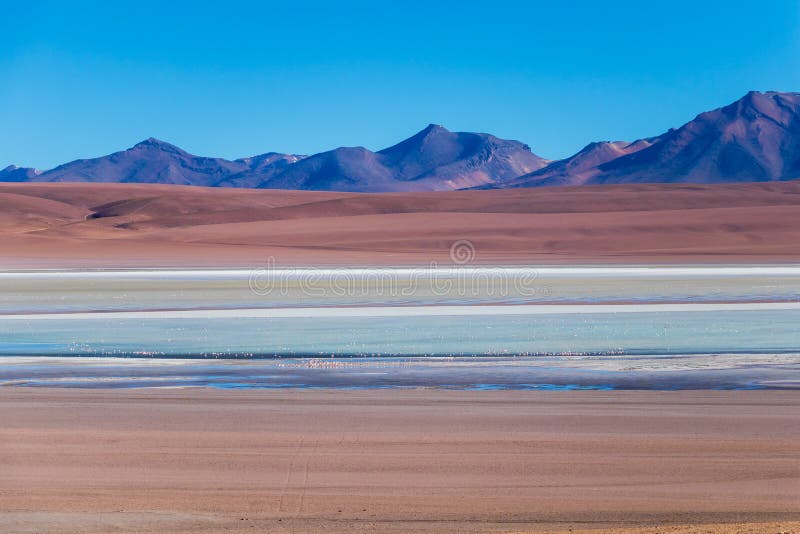 Mooie achtergrond met Altiplanic-Lagune, een ondiep zout meer en een blauwe hemel stock fotografie Mooie achtergrond met Altiplanic-Lagune, een ondiep zout meer en een blauwe hemel stock fotografie