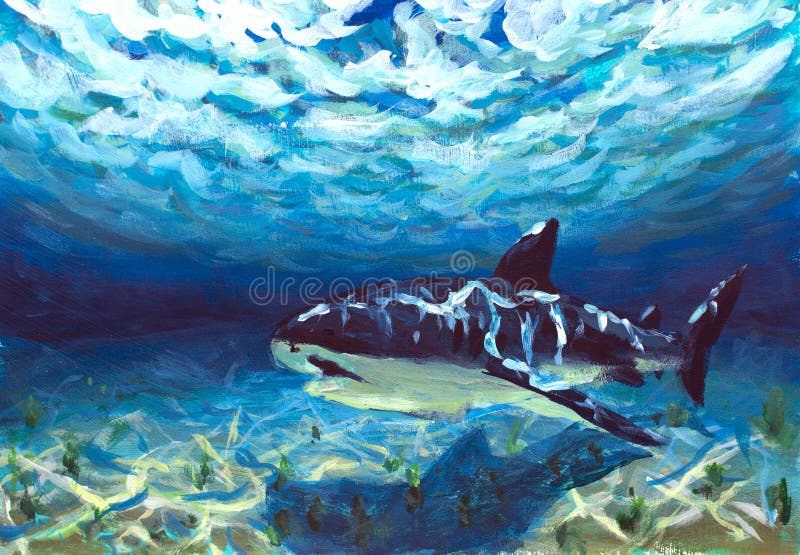 Mooie blauwe turkooise onderwaterwereld, een bezinning van suny stralen op zeebedding Grote vissen, haai, vrees, gevaar het schil stock afbeeldingen Mooie blauwe turkooise onderwaterwereld, een bezinning van suny stralen op zeebedding Grote vissen, haai, vrees, gevaar het schil stock afbeeldingen