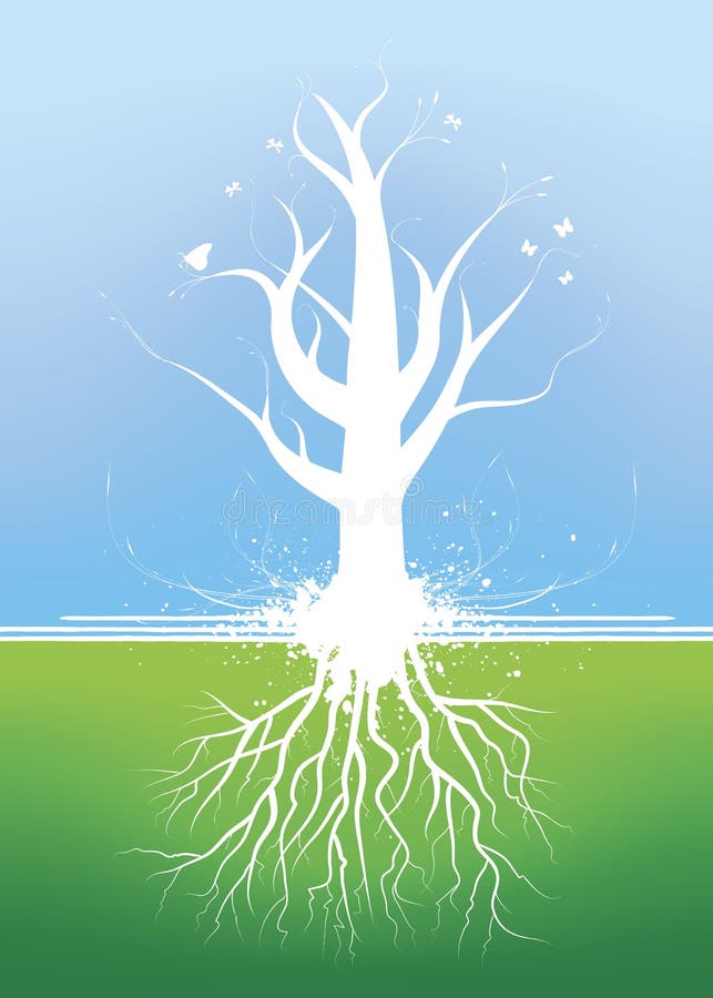 Mooie boom met wortels stock illustratie Mooie boom met wortels stock illustratie