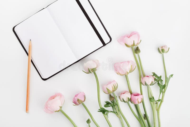 Mooie de lenteranunculus bloemen en leeg notitieboekje op witte lijst van hierboven Model Het gebruik als patroon vult, achtergro stock afbeelding Mooie de lenteranunculus bloemen en leeg notitieboekje op witte lijst van hierboven Model Het gebruik als patroon vult, achtergro stock afbeelding