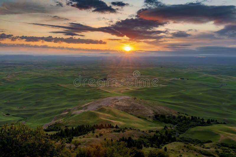 Mooie en Dramatische Palouse, Washington, de Zomerzonsopgang stock afbeeldingen Mooie en Dramatische Palouse, Washington, de Zomerzonsopgang stock afbeeldingen