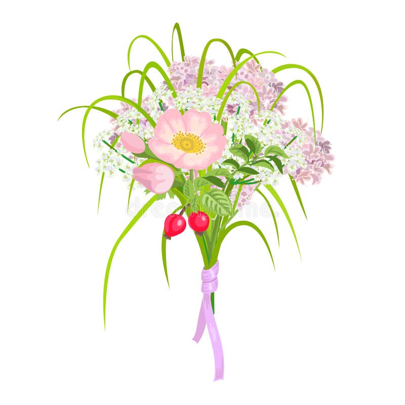 Mooie en elegante Roze die Bloemen op witte achtergrond worden geïsoleerd royalty-vrije illustratie Mooie en elegante Roze die Bloemen op witte achtergrond worden geïsoleerd royalty-vrije illustratie