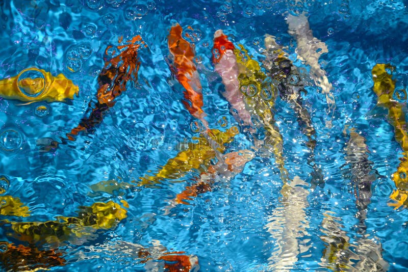 Mooie en kleurrijke vissen buitensporige karpers in plastic vijver royalty-vrije stock foto's Mooie en kleurrijke vissen buitensporige karpers in plastic vijver royalty-vrije stock foto's