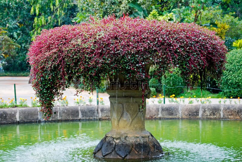 Mooie fontein inl Botanische Tuin, Kandy, Sri Lanka