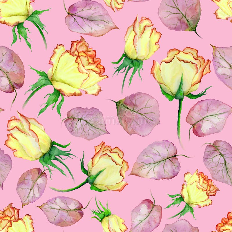 Mooie gele en rode rozen en bladeren op roze achtergrond Naadloos BloemenPatroon Het Schilderen van de waterverf royalty-vrije illustratie Mooie gele en rode rozen en bladeren op roze achtergrond Naadloos BloemenPatroon Het Schilderen van de waterverf royalty-vrije illustratie