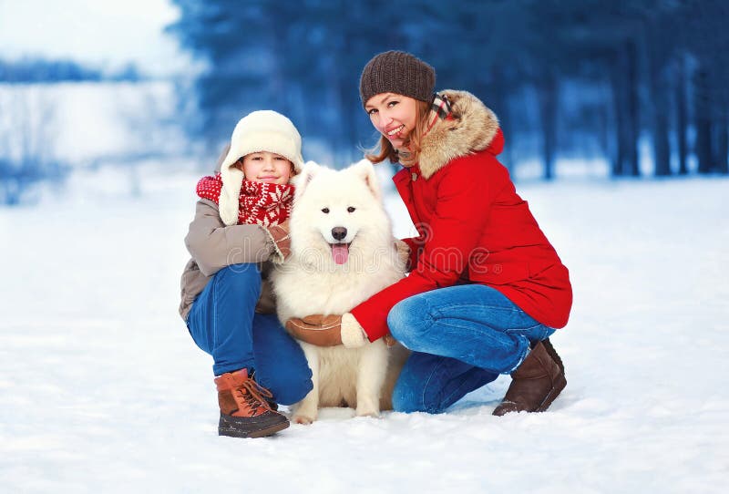 Christmas, winter and people concept - beautiful happy family, mother and son walking with white Samoyed dog outdoors in the park on a winter day. Christmas, winter and people concept - beautiful happy family, mother and son walking with white Samoyed dog outdoors in the park on a winter day