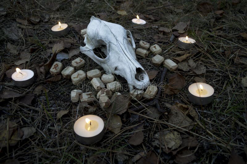 Mooie Halloween-samenstelling met runen, schedel, tarot en kaarsen op het gras in donker de herfst bosritueel stock afbeelding Mooie Halloween-samenstelling met runen, schedel, tarot en kaarsen op het gras in donker de herfst bosritueel stock afbeelding