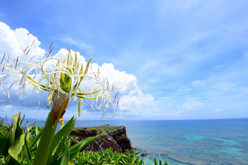 Mooie hemel en overzees in Okinawa royalty-vrije stock afbeelding Mooie hemel en overzees in Okinawa royalty-vrije stock afbeelding