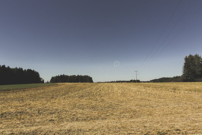 Mooie horizontale opname van een droog grasveld omringd door groene bomen onder de heldere hemel royalty-vrije stock foto's Mooie horizontale opname van een droog grasveld omringd door groene bomen onder de heldere hemel royalty-vrije stock foto's