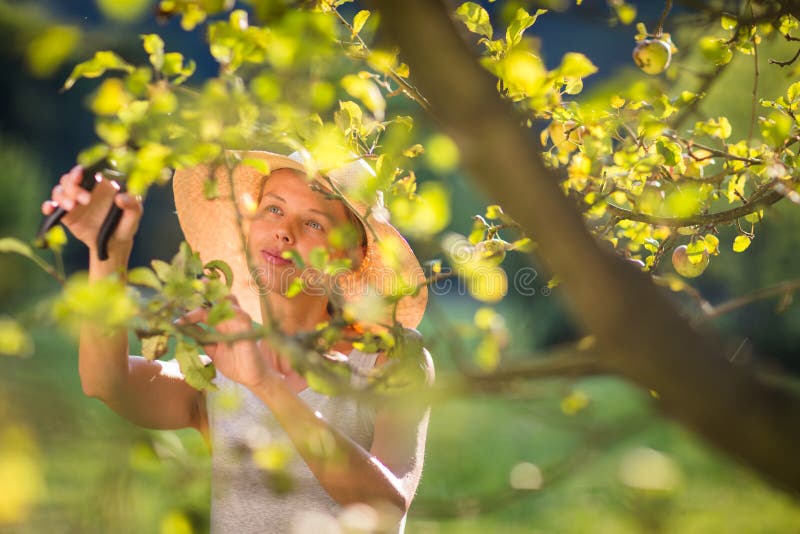 Mooie, jonge vrouw die in haar tuin tuinieren stock afbeeldingen Mooie, jonge vrouw die in haar tuin tuinieren stock afbeeldingen