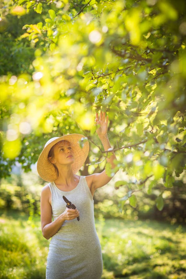 Mooie, jonge vrouw die in haar tuin tuinieren royalty-vrije stock fotografie Mooie, jonge vrouw die in haar tuin tuinieren royalty-vrije stock fotografie