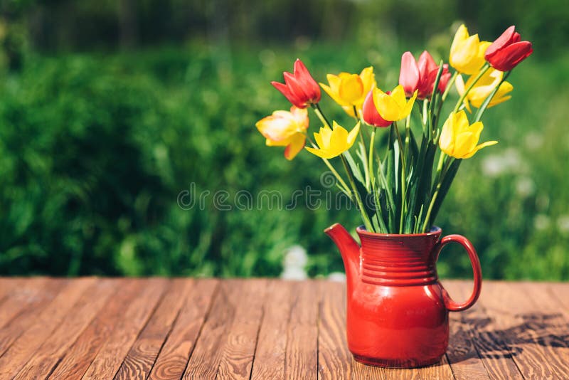 Mooie kleurrijke tulpen in een tuin De dagconcept van de moeder ` s royalty-vrije stock foto Mooie kleurrijke tulpen in een tuin De dagconcept van de moeder ` s royalty-vrije stock foto