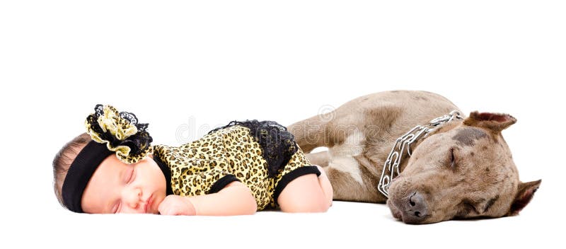 Mooie pasgeboren meisjesslaap samen met haar hond een kuilstier stock foto's Mooie pasgeboren meisjesslaap samen met haar hond een kuilstier stock foto's
