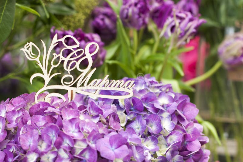 Mooie purpere hydrangea hortensia houten plaque in Russische taal vanaf 8 Maart stock foto's Mooie purpere hydrangea hortensia houten plaque in Russische taal vanaf 8 Maart stock foto's