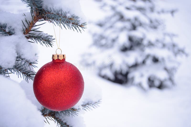 Mooie Rode die Kerstmisbal op de Spartak met Sneeuw wordt behandeld stock afbeeldingen Mooie Rode die Kerstmisbal op de Spartak met Sneeuw wordt behandeld stock afbeeldingen