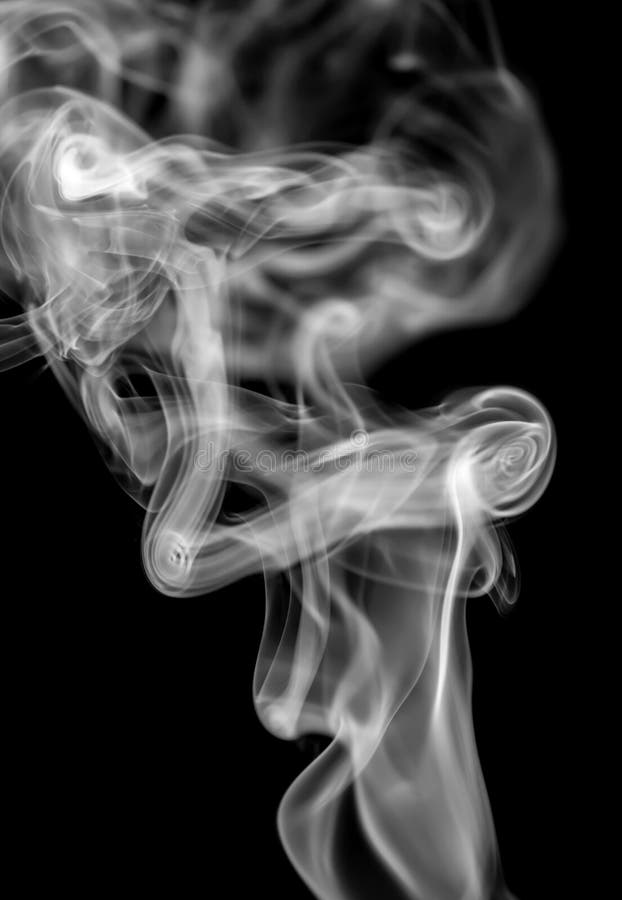 Mooie rook op zwarte achtergrond royalty-vrije stock fotografie