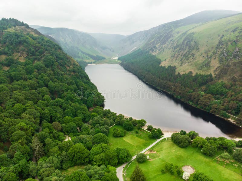 Mooie smalle stroom die over bossen van de Bergen Nationaal Park van Wicklow stromen Oude pijnboombomen en weelderig groen van Gl stock afbeeldingen Mooie smalle stroom die over bossen van de Bergen Nationaal Park van Wicklow stromen Oude pijnboombomen en weelderig groen van Gl stock afbeeldingen