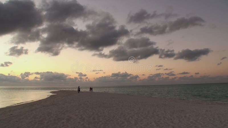 Mooie verbazende gouden zonsondergang bij tropisch strand