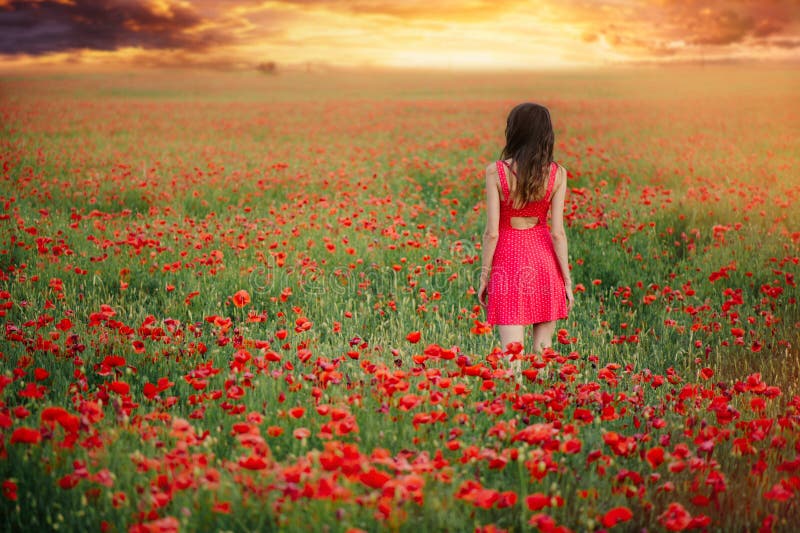 Mooie vrouw in een rode kleding op een papavergebied bij zonsondergang van het achter, warme stemmen, geluk en een gezonde levens stock foto Mooie vrouw in een rode kleding op een papavergebied bij zonsondergang van het achter, warme stemmen, geluk en een gezonde levens stock foto