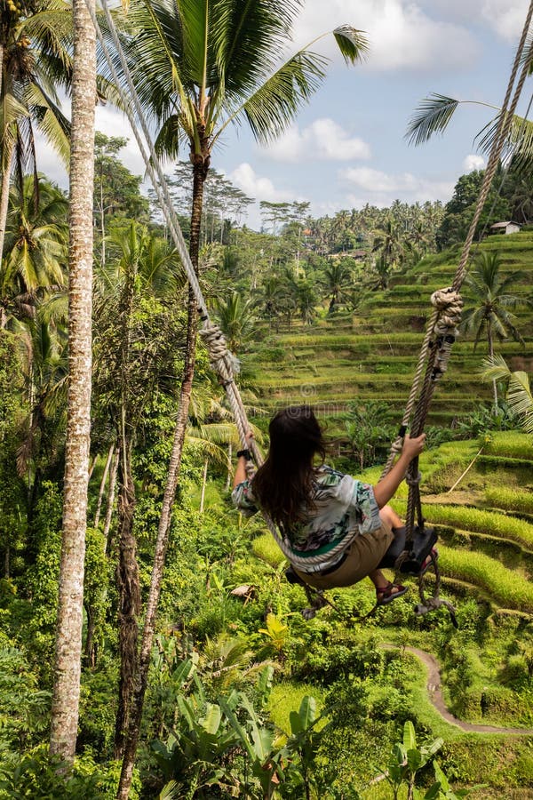 Mooie vrouw op hoge schommeling boven padievelden in Bali stock fotografie Mooie vrouw op hoge schommeling boven padievelden in Bali stock fotografie