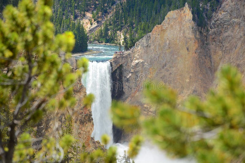 Mooie waterval in het Nationale Park van Yellowstone stock foto's Mooie waterval in het Nationale Park van Yellowstone stock foto's