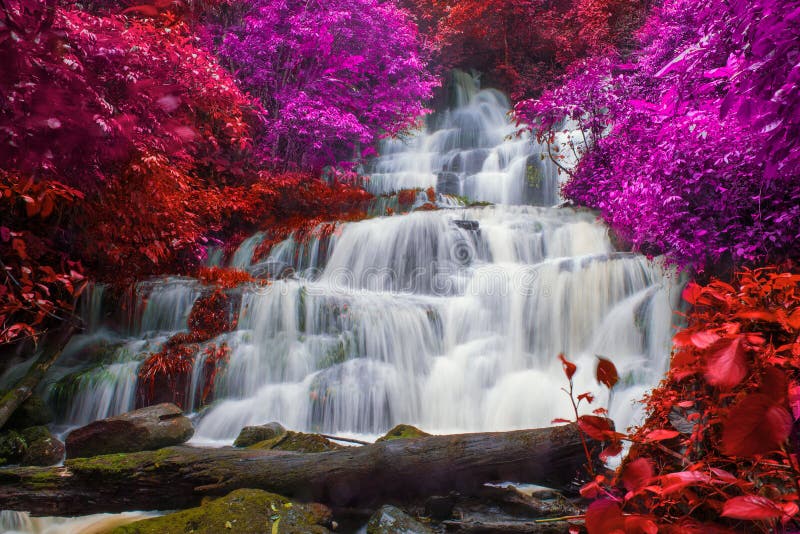 mooie waterval in regenwoud bij de berg van de phuton berk phet royalty-vrije stock afbeelding mooie waterval in regenwoud bij de berg van de phuton berk phet royalty-vrije stock afbeelding