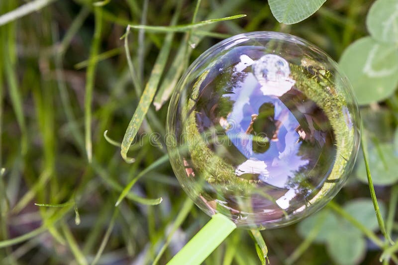 Mooie zeepbel op het gras met bezinning van de fotograaf stock foto Mooie zeepbel op het gras met bezinning van de fotograaf stock foto