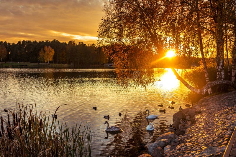 Mooie zonsondergang in Druskininkai, Litouwen royalty-vrije stock afbeeldingen Mooie zonsondergang in Druskininkai, Litouwen royalty-vrije stock afbeeldingen