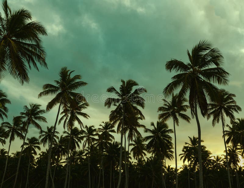 Mooie zonsondergang, palmen en azuurblauwe blauwgroen