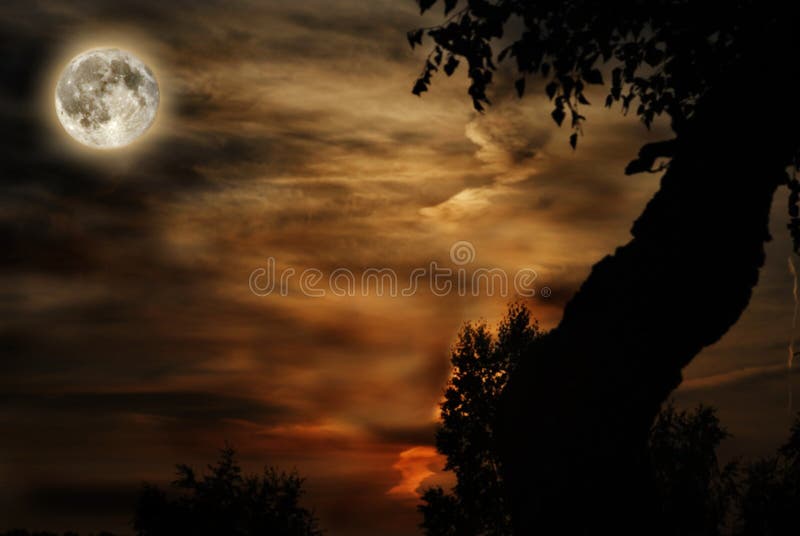 Moon stock photography