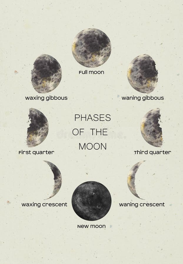 Watercolor Moon in All Its Phases with Letterings. New Moon, First ...