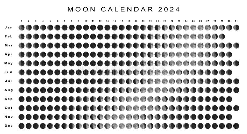 Moon Calendar 2024 /calendario Lunar 2024 