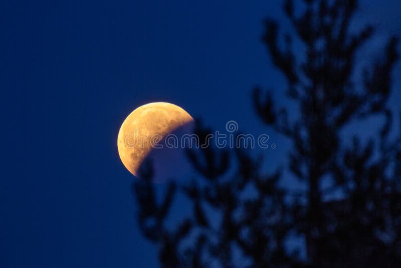 Moon eclipse 21. 1. 2019 stock image