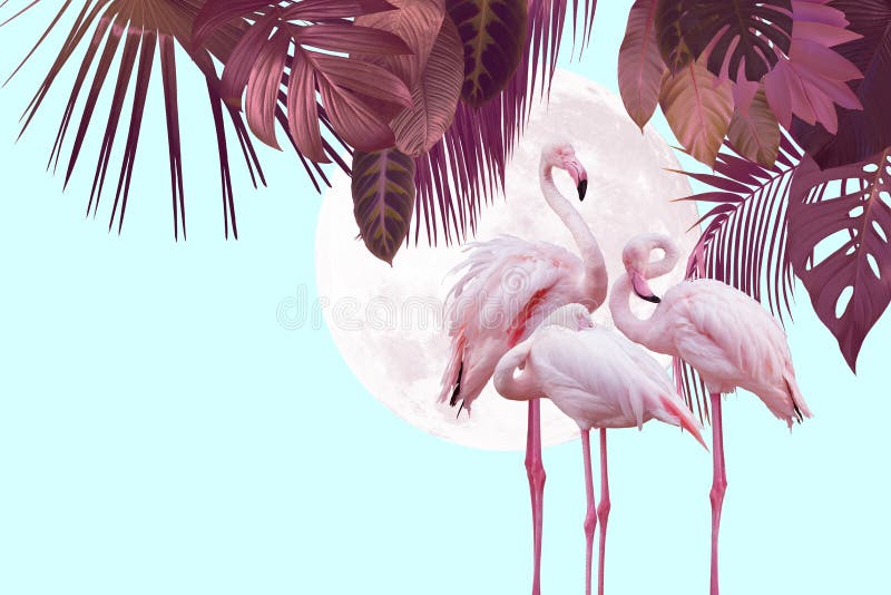 Moon and Flamingo Background Design with Tropical Leaves Stock Illustration  - Illustration of abstract, cute: 154631813