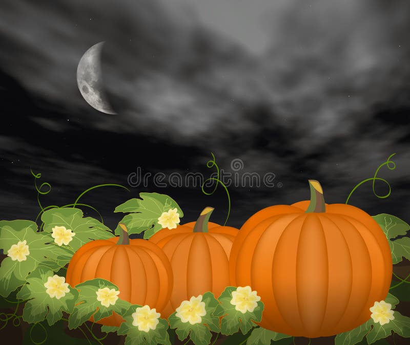 Pumpkin Patch Stock Illustrations – 3,060 Pumpkin Patch Stock  Illustrations, Vectors & Clipart - Dreamstime